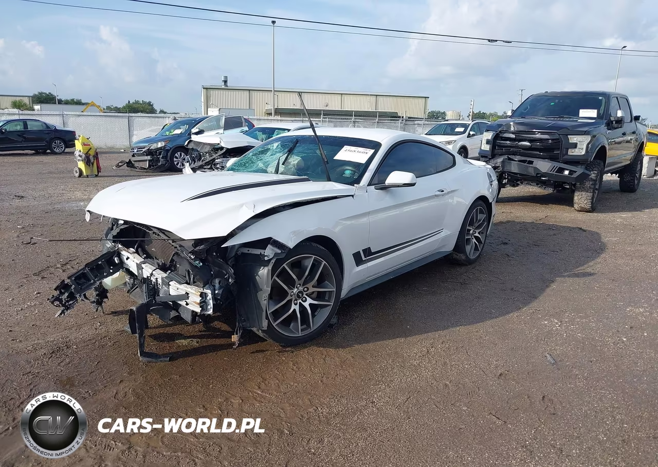 2015 Ford Mustang Ecoboost VIN:1FA6P8TH7F5328989 - 2