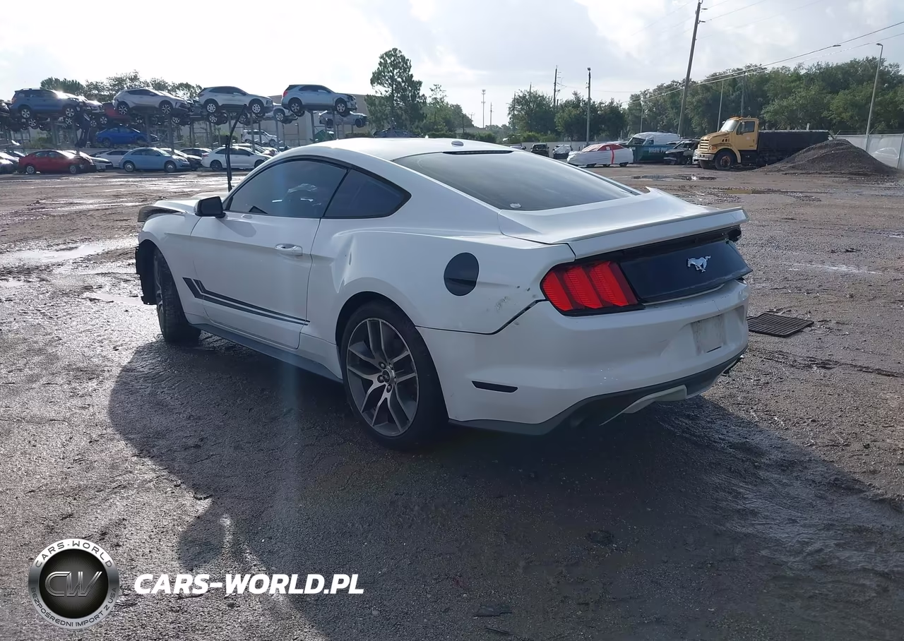 2015 Ford Mustang Ecoboost VIN:1FA6P8TH7F5328989 - 3