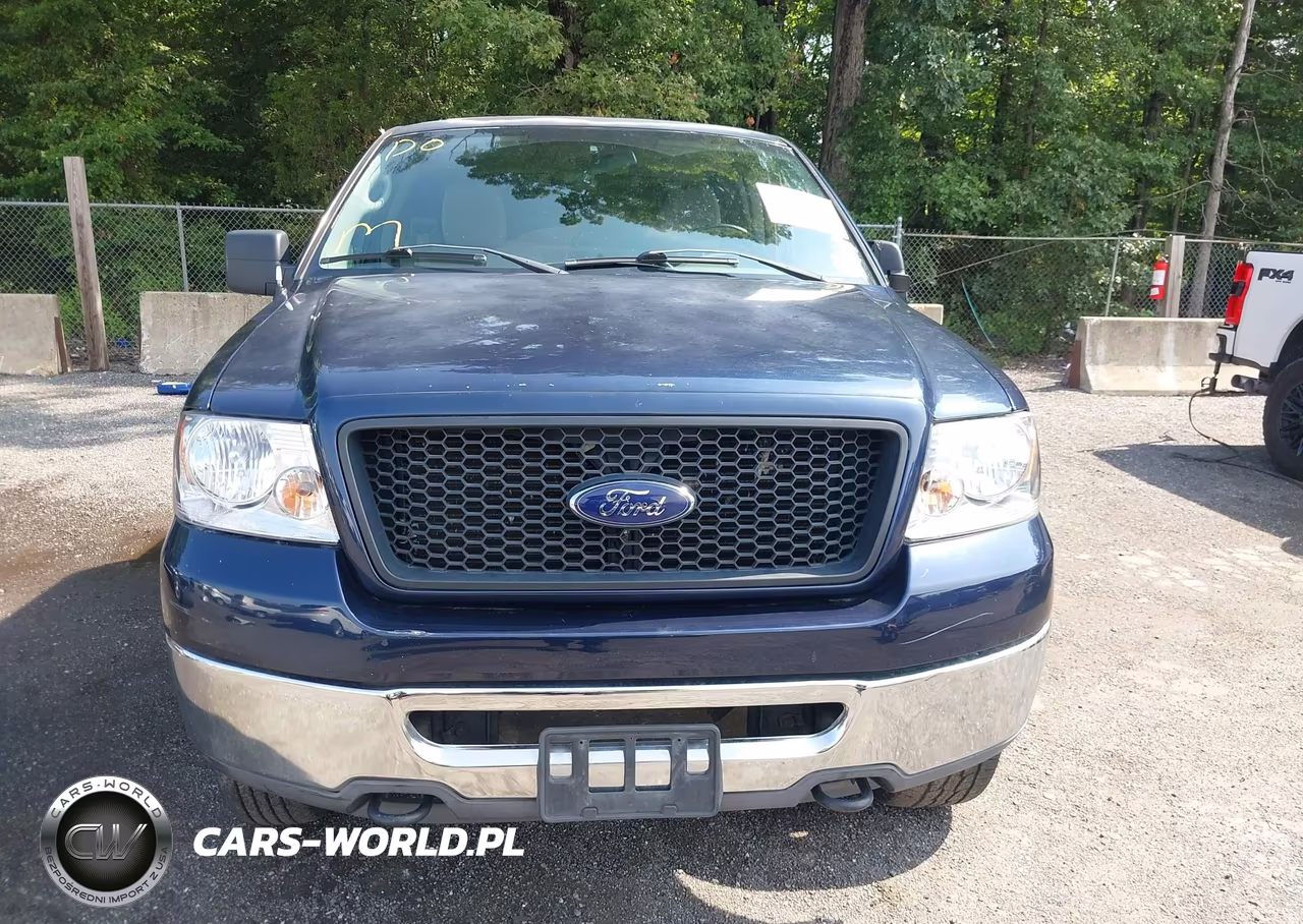2006 Ford F-150 Fx4-Lariat-Xl-Xlt VIN:1FTPX14516NB54377 - 12