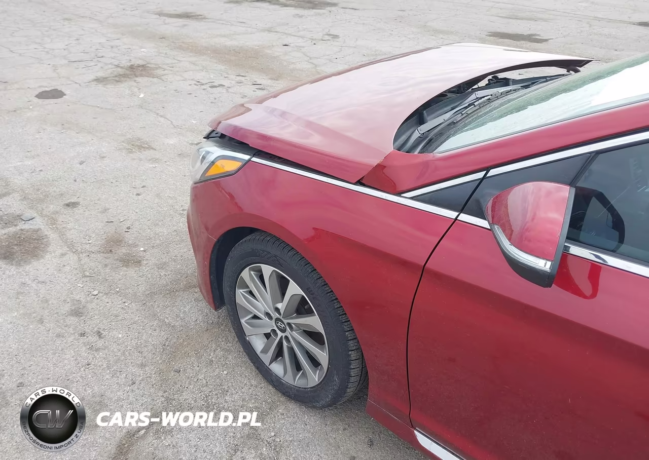 2016 Hyundai Sonata Sport VIN:5NPE34AF4GH389777 - 6
