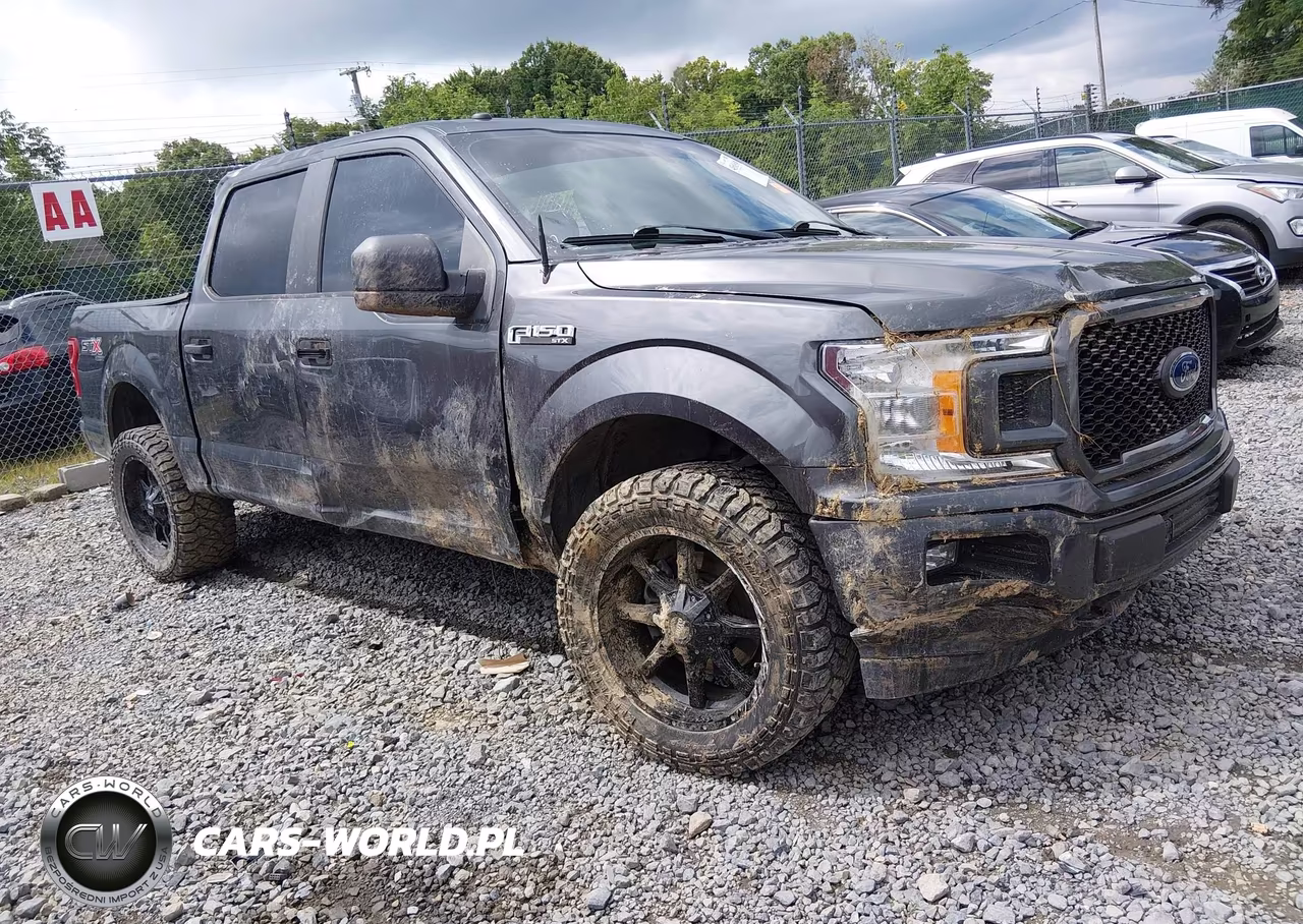 2019 Ford F-150 Xl