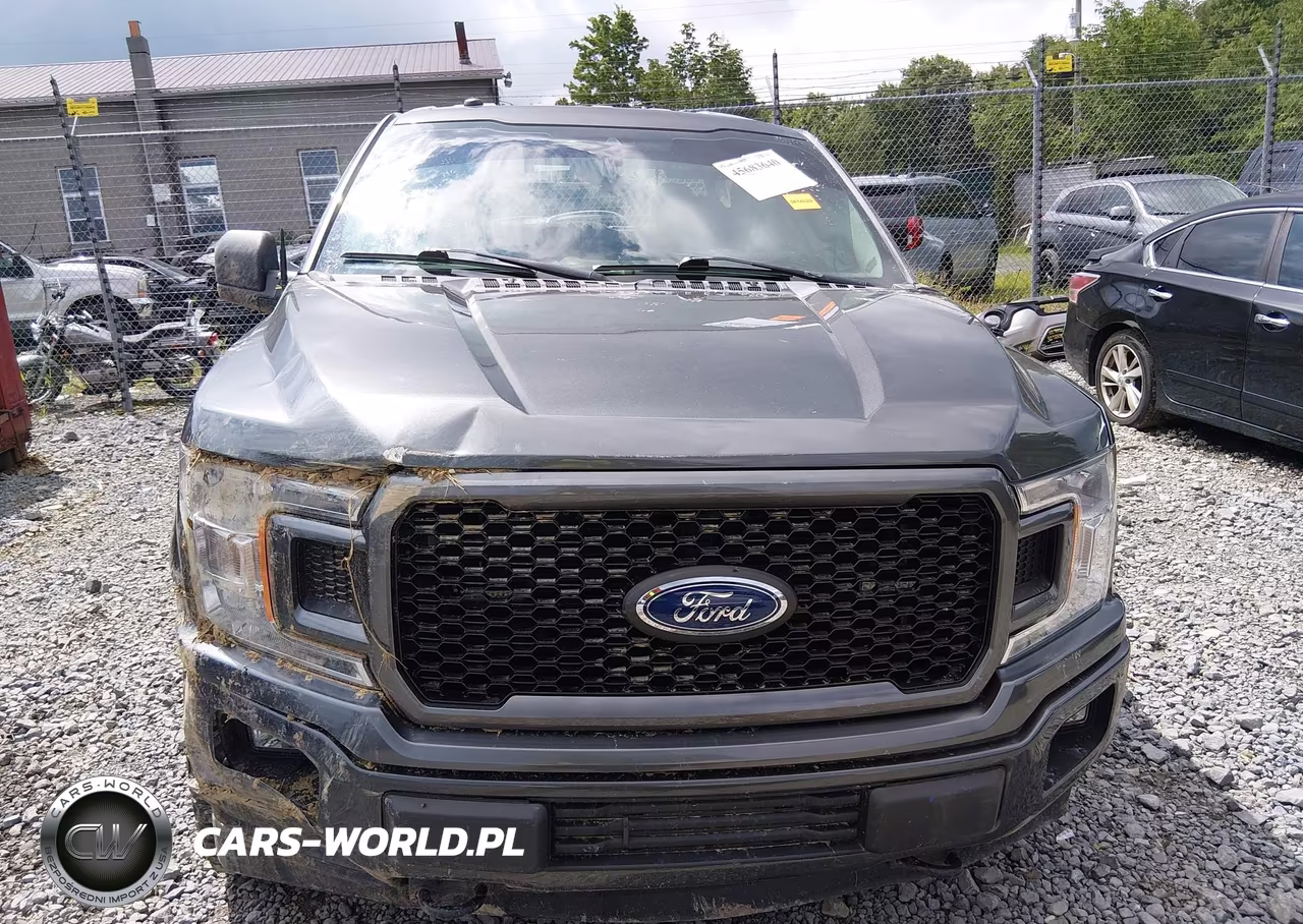 2019 Ford F-150 Xl VIN:1FTEW1E52KFB26746 - 12
