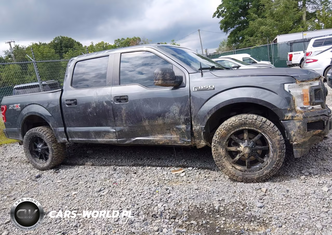 2019 Ford F-150 Xl VIN:1FTEW1E52KFB26746 - 13
