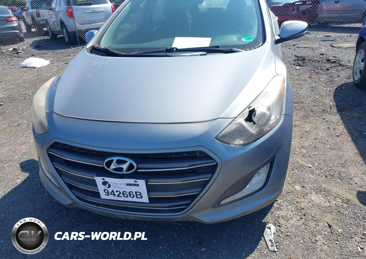 2016 Hyundai Elantra Gt VIN:KMHD35LH5GU274316 - 6