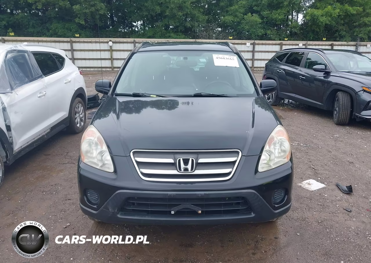 2006 Honda Cr-V Se VIN:JHLRD78906C021089 - 12