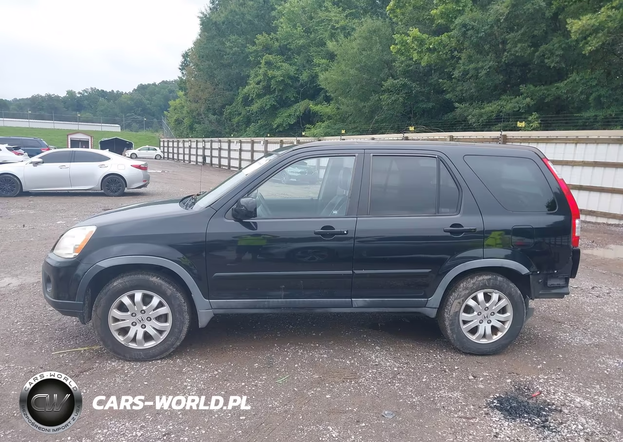 2006 Honda Cr-V Se VIN:JHLRD78906C021089 - 14