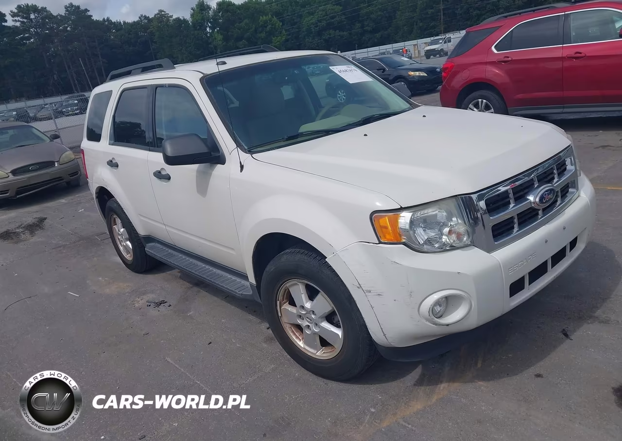2010 Ford Escape Xlt