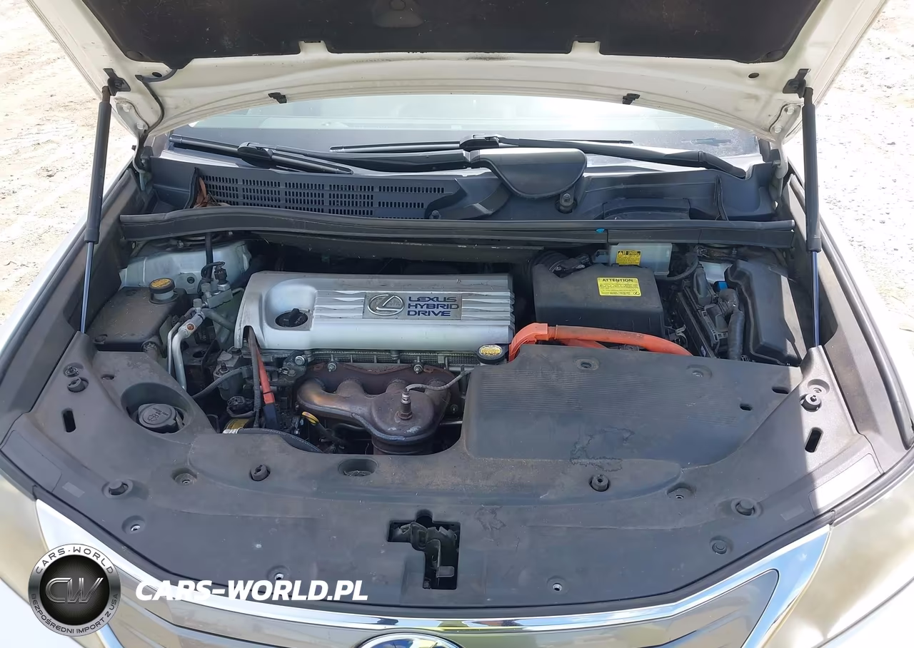 2010 Lexus Hs 250H VIN:JTHBB1BA7A2023021 - 10
