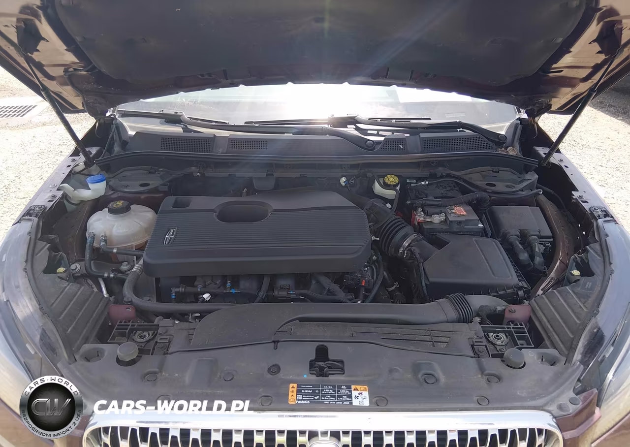 2020 Lincoln Corsair Standard VIN:5LMCJ1C94LUL11544 - 10