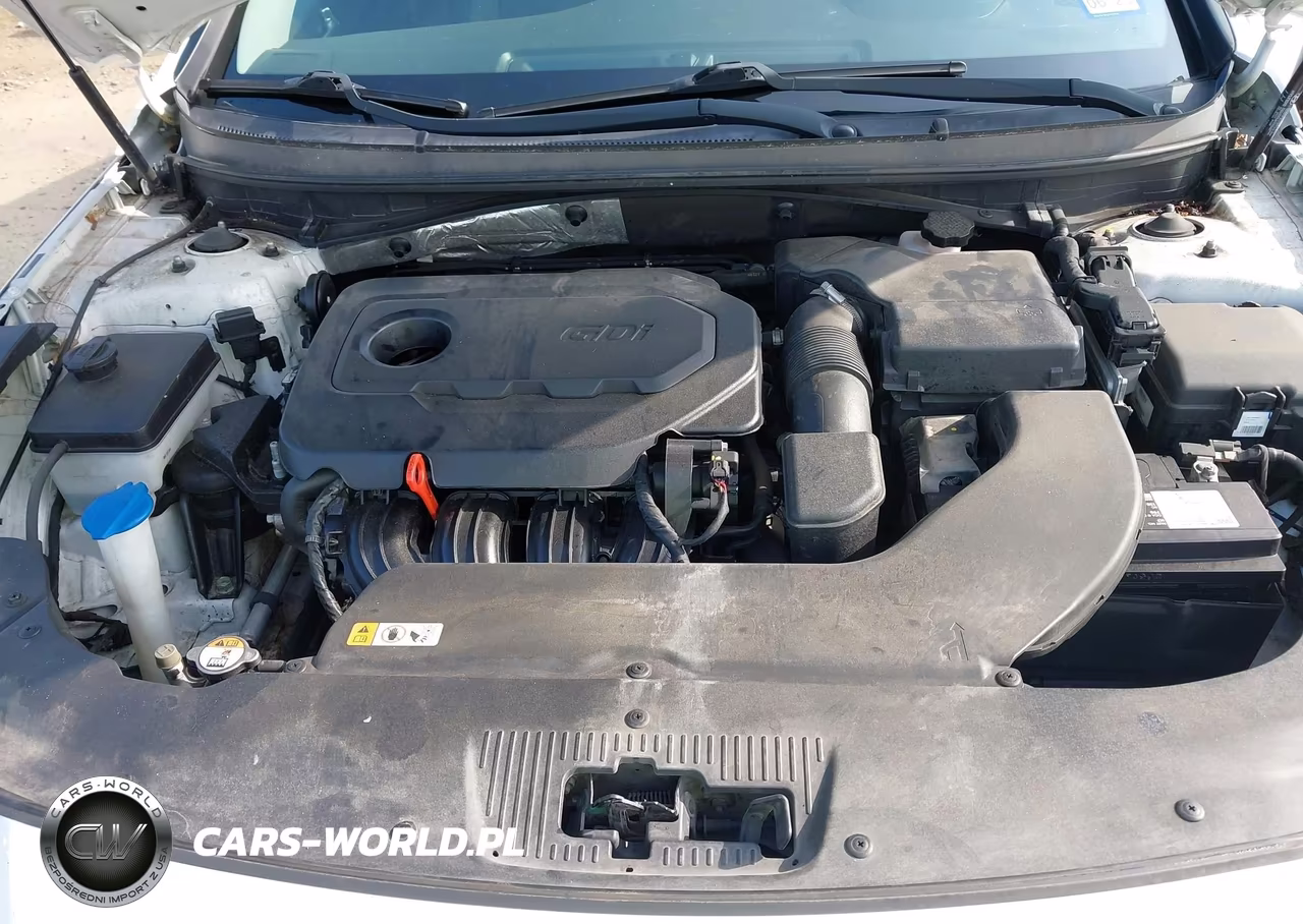 2015 Hyundai Sonata Sport VIN:5NPE34AF9FH224953 - 10