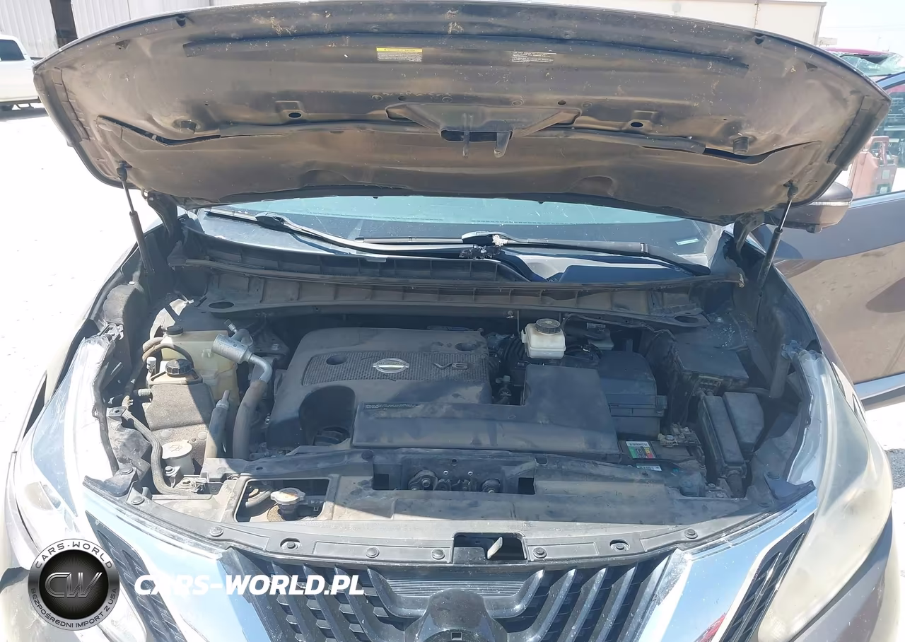 2015 Nissan Murano Platinum VIN:5N1AZ2MH1FN251686 - 10