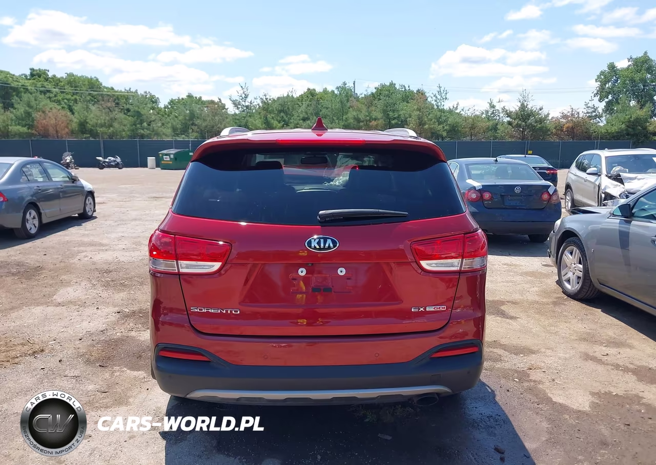 2017 Kia Sorento 2.0T Ex VIN:5XYPH4A13HG193918 - 17