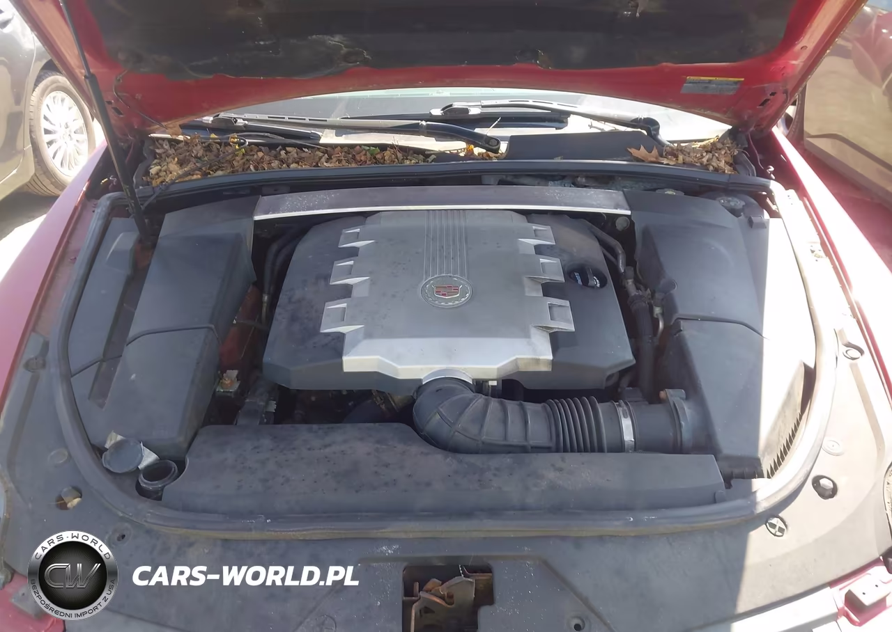 2009 Cadillac Cts Rwd W-1Sa VIN:1G6DF577490101476 - 10