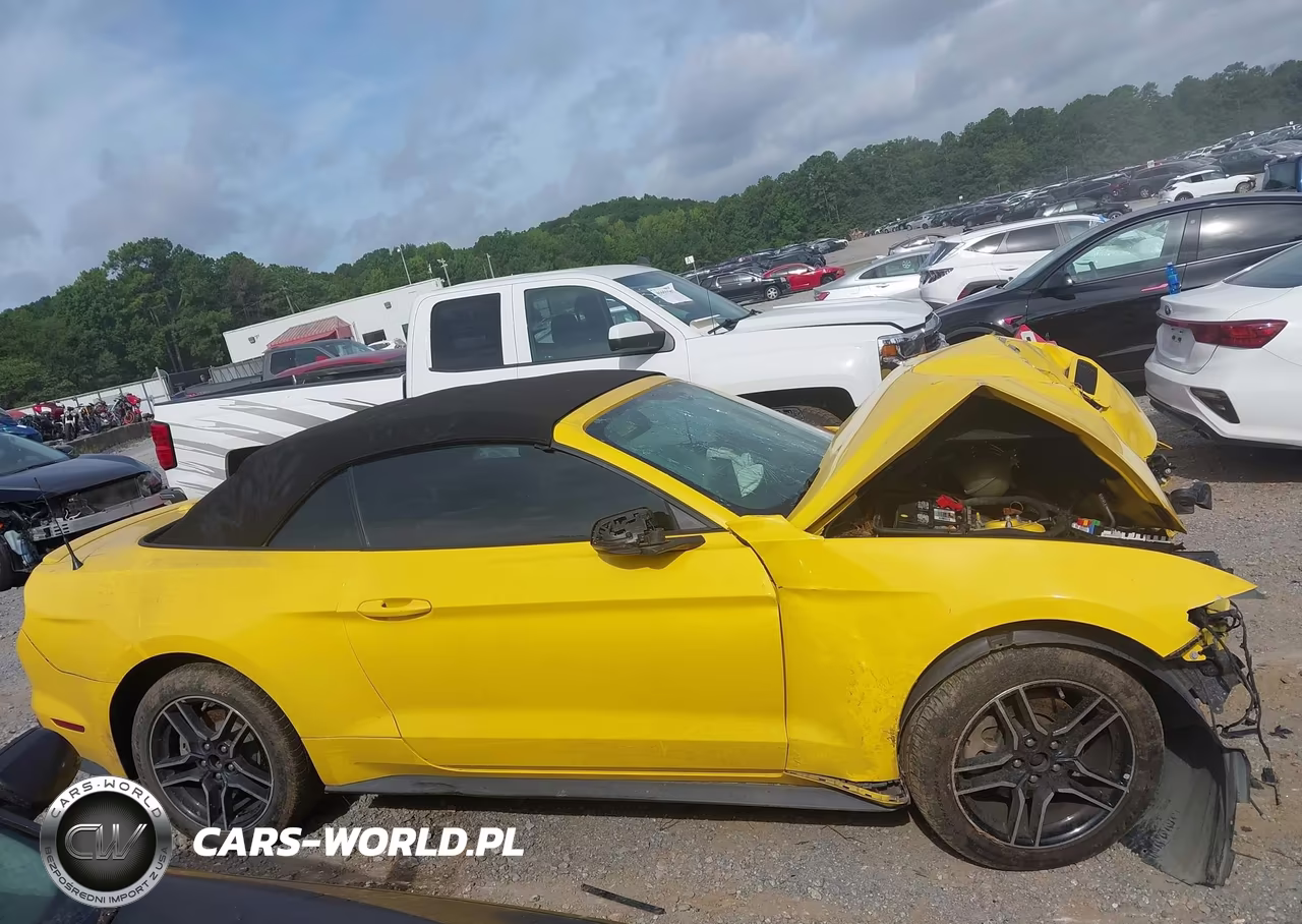 2018 Ford Mustang Ecoboost Premium VIN:1FATP8UH8J5156563 - 13