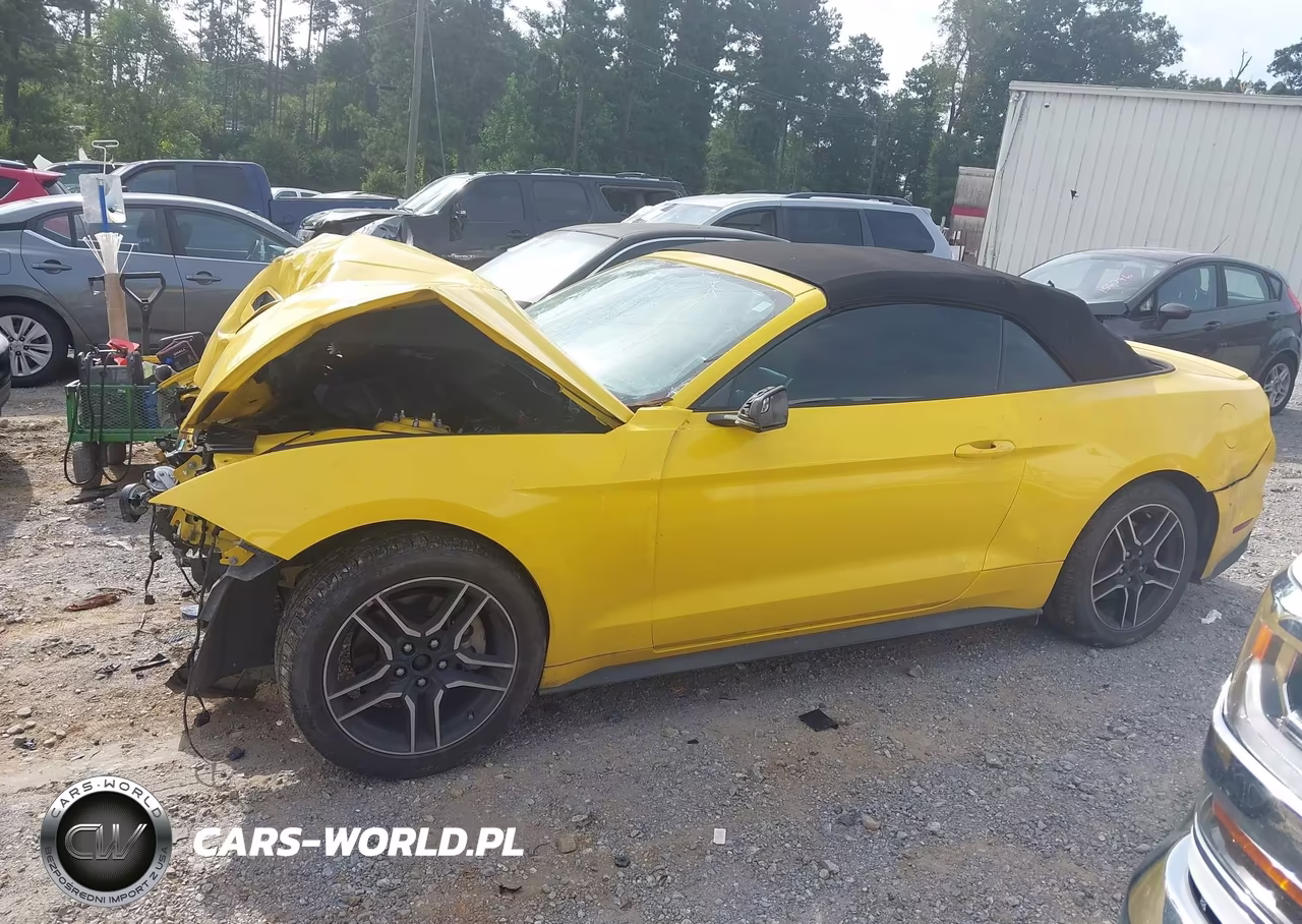 2018 Ford Mustang Ecoboost Premium VIN:1FATP8UH8J5156563 - 14