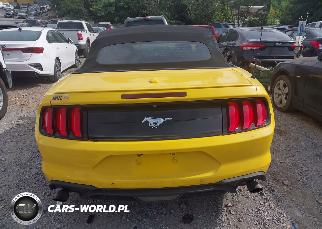 2018 Ford Mustang Ecoboost Premium VIN:1FATP8UH8J5156563 - 16