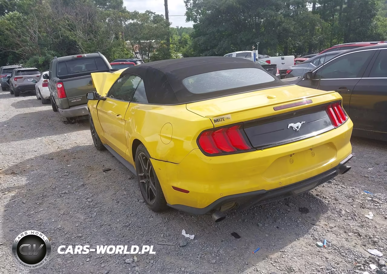 2018 Ford Mustang Ecoboost Premium VIN:1FATP8UH8J5156563 - 3