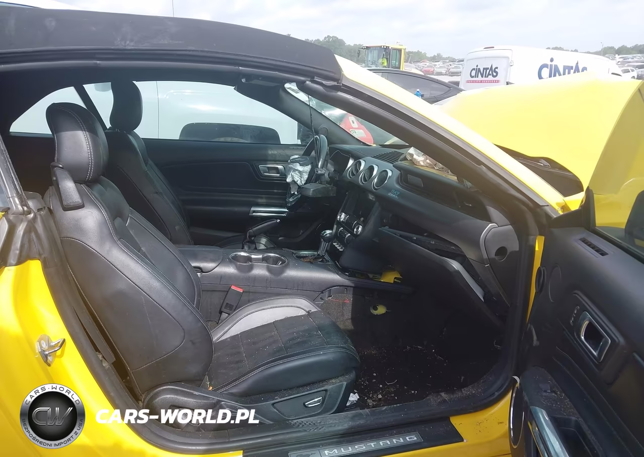 2018 Ford Mustang Ecoboost Premium VIN:1FATP8UH8J5156563 - 5