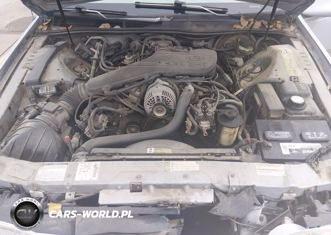 1994 Ford Thunderbird Lx VIN:1FALP62W6RH117275 - 10