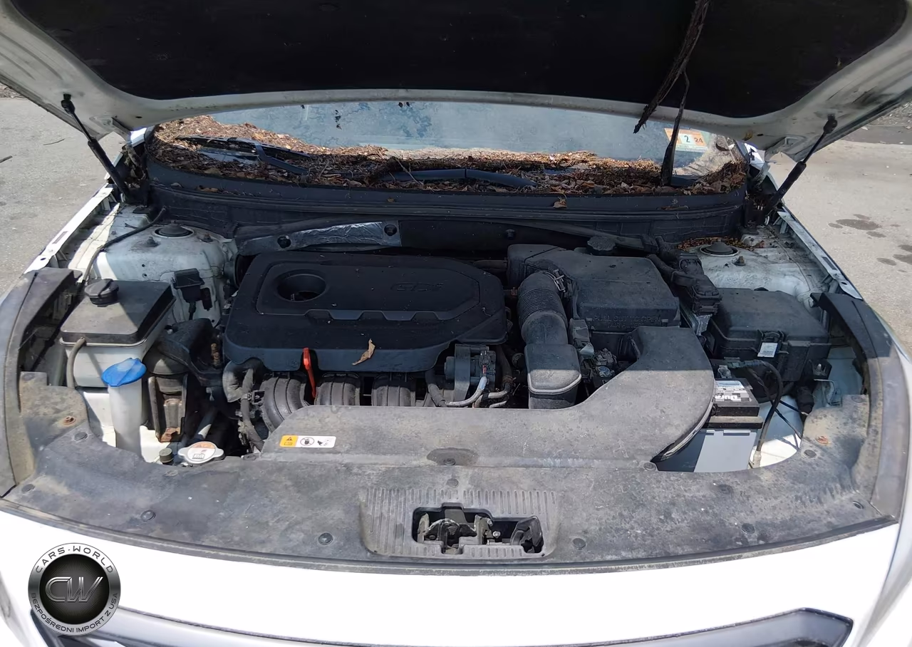 2017 Hyundai Sonata Sport VIN:5NPE34AF5HH479358 - 10