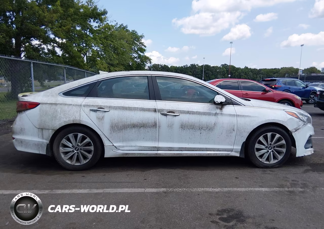 2017 Hyundai Sonata Sport VIN:5NPE34AF5HH479358 - 13