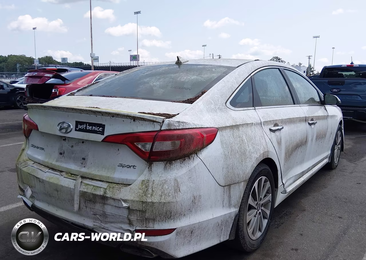 2017 Hyundai Sonata Sport VIN:5NPE34AF5HH479358 - 4