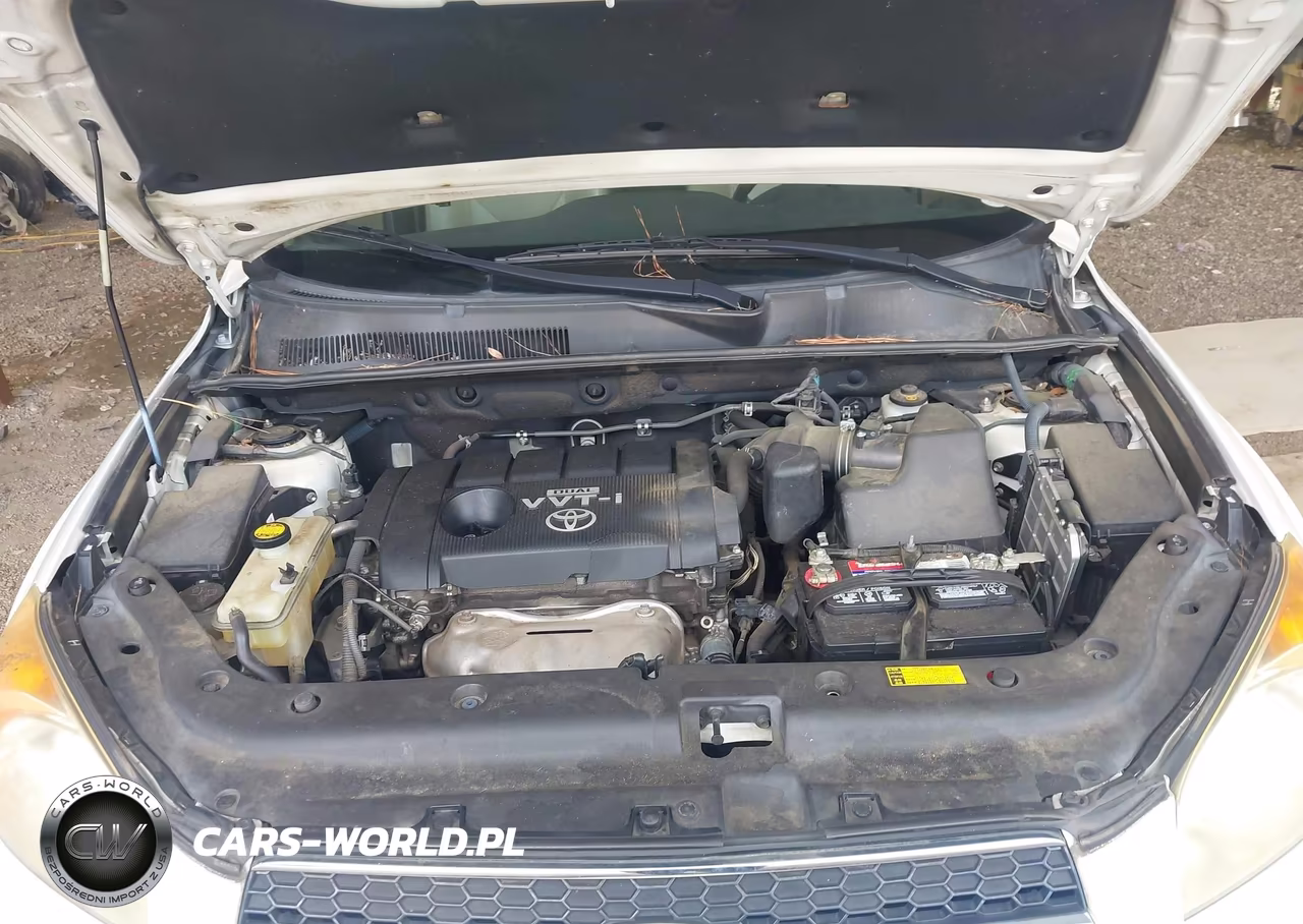 2009 Toyota Rav4 Limited VIN:JTMZF31VX95009869 - 10