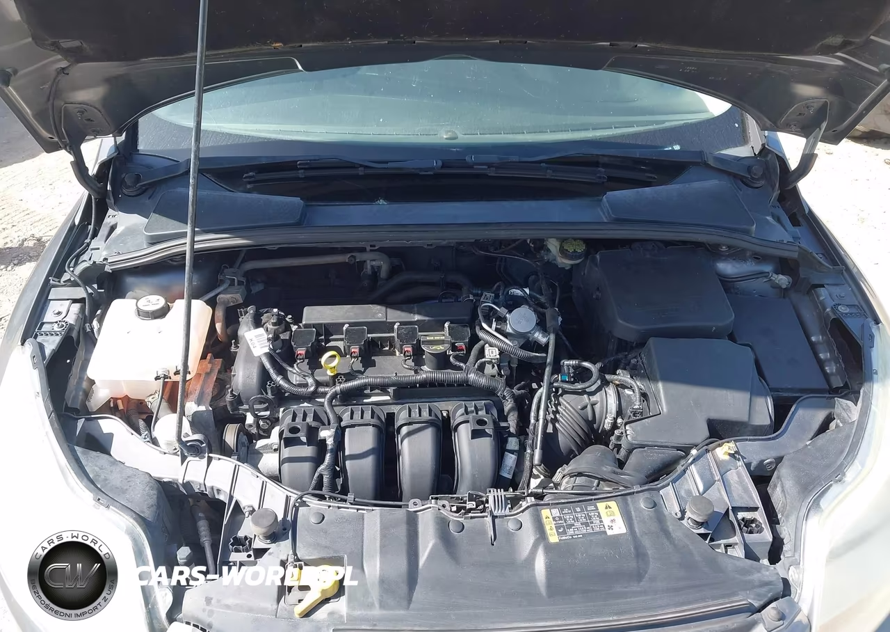 2014 Ford Focus Se VIN:1FADP3K28EL299732 - 10