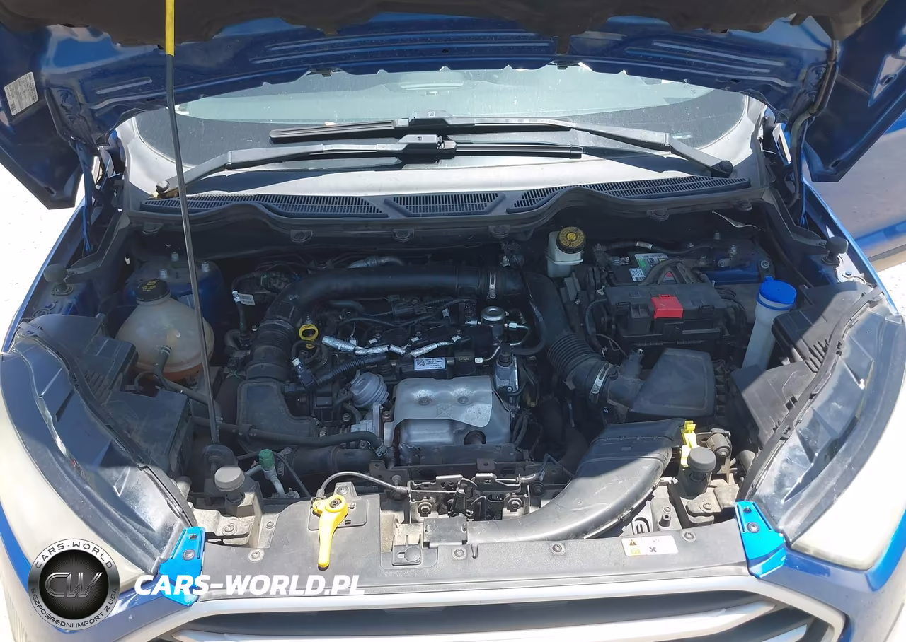 2018 Ford Ecosport Se VIN:MAJ3P1TE0JC158902 - 10