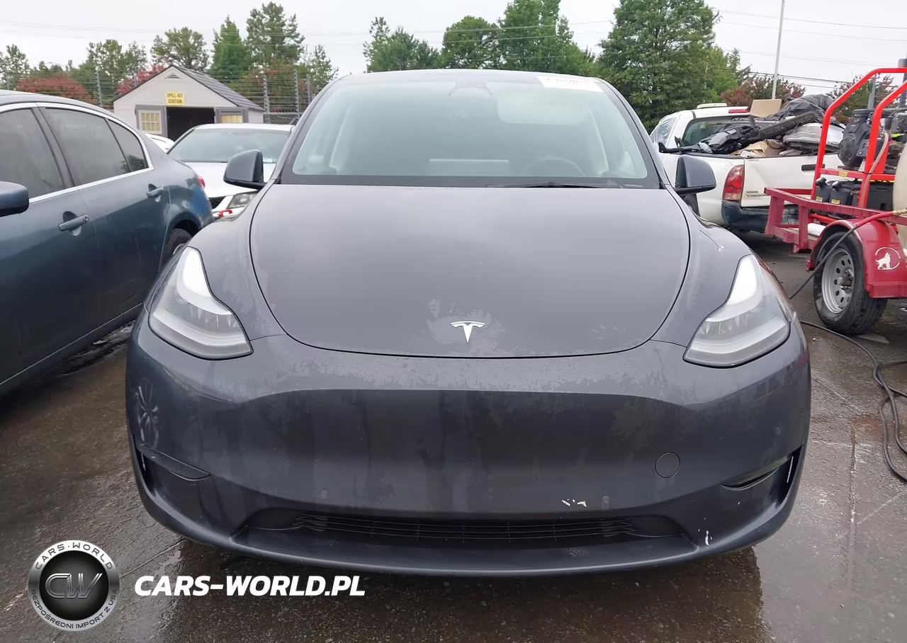 2021 Tesla Model Y Performance Dual Motor All-Wheel Drive VIN:5YJYGDEF9MF209893 - 11