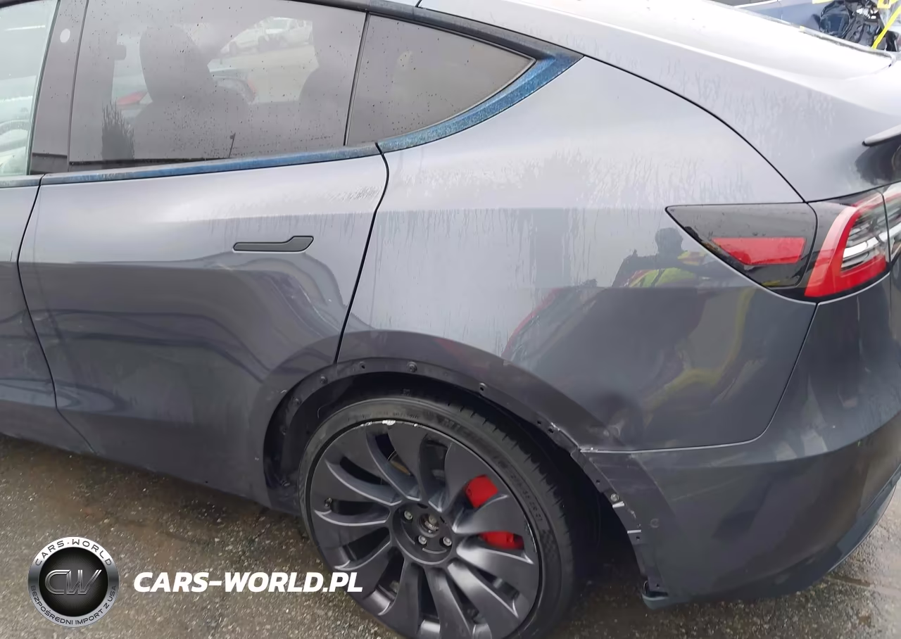 2021 Tesla Model Y Performance Dual Motor All-Wheel Drive VIN:5YJYGDEF9MF209893 - 6