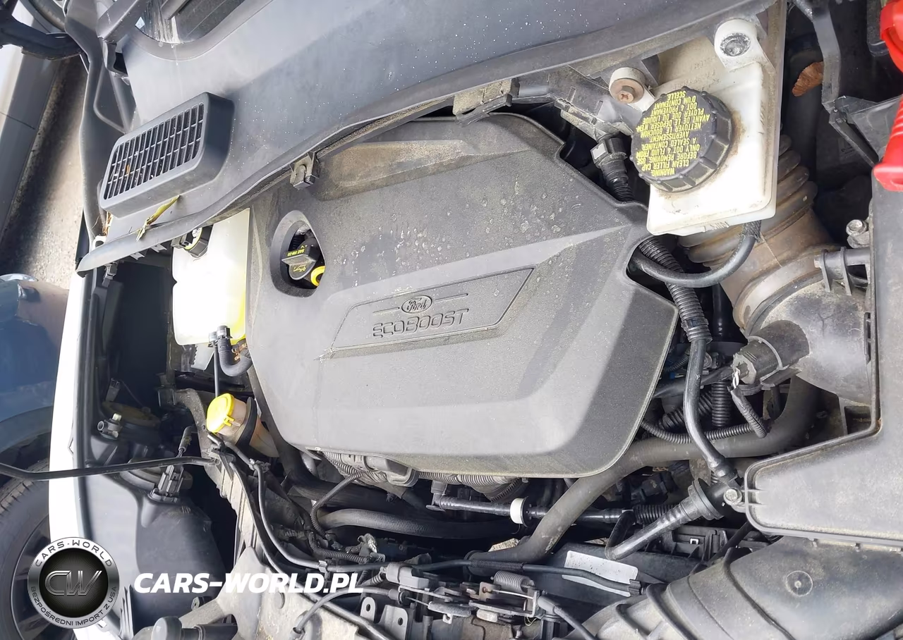 2014 Ford Escape Se VIN:1FMCU9GX1EUE04560 - 10