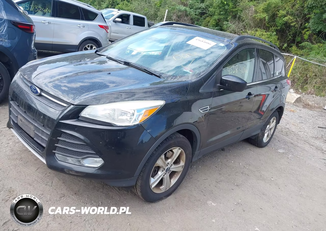 2014 Ford Escape Se VIN:1FMCU9GX1EUE04560 - 2