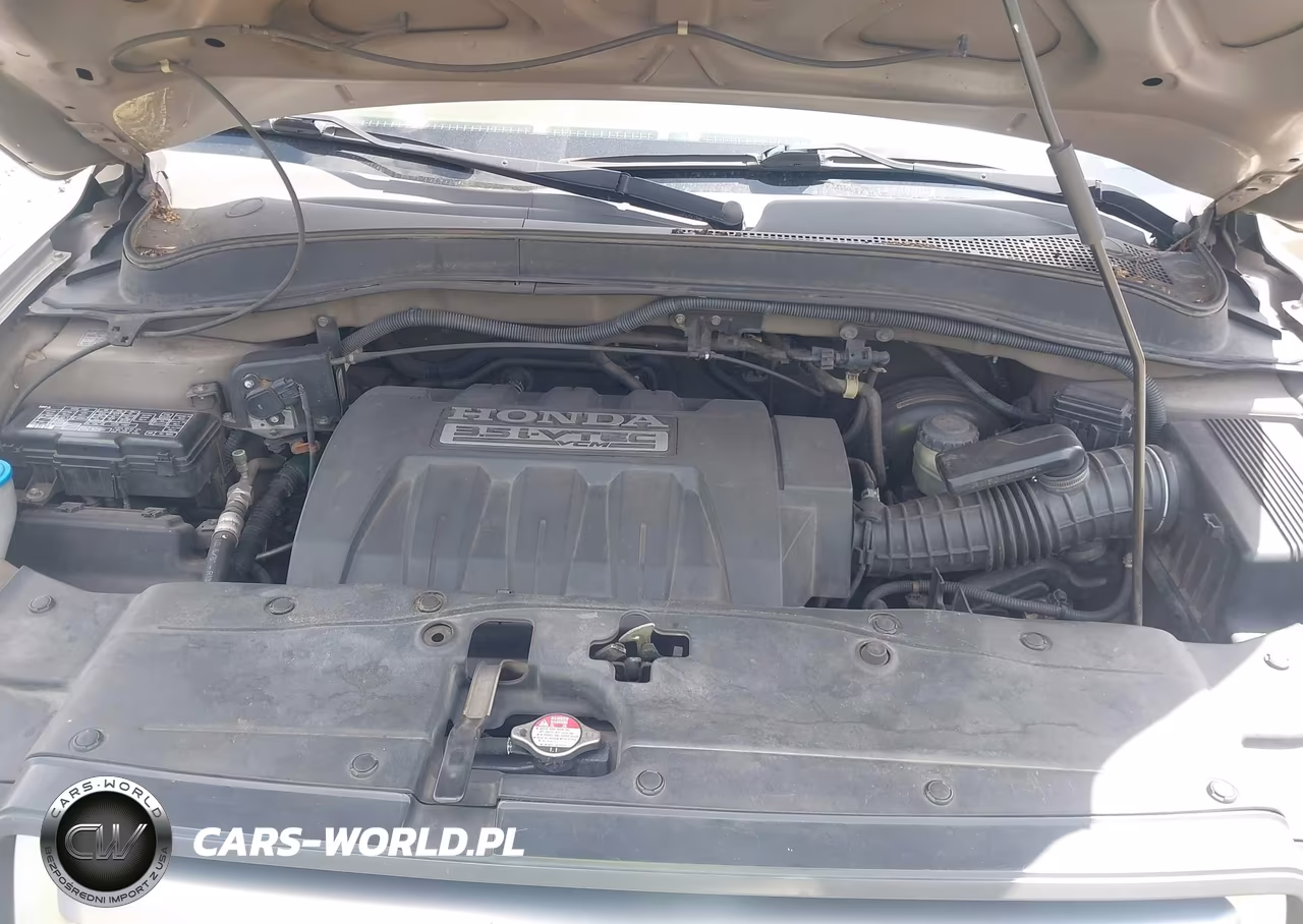 2007 Honda Pilot Ex-L VIN:5FNYF28567B016213 - 10