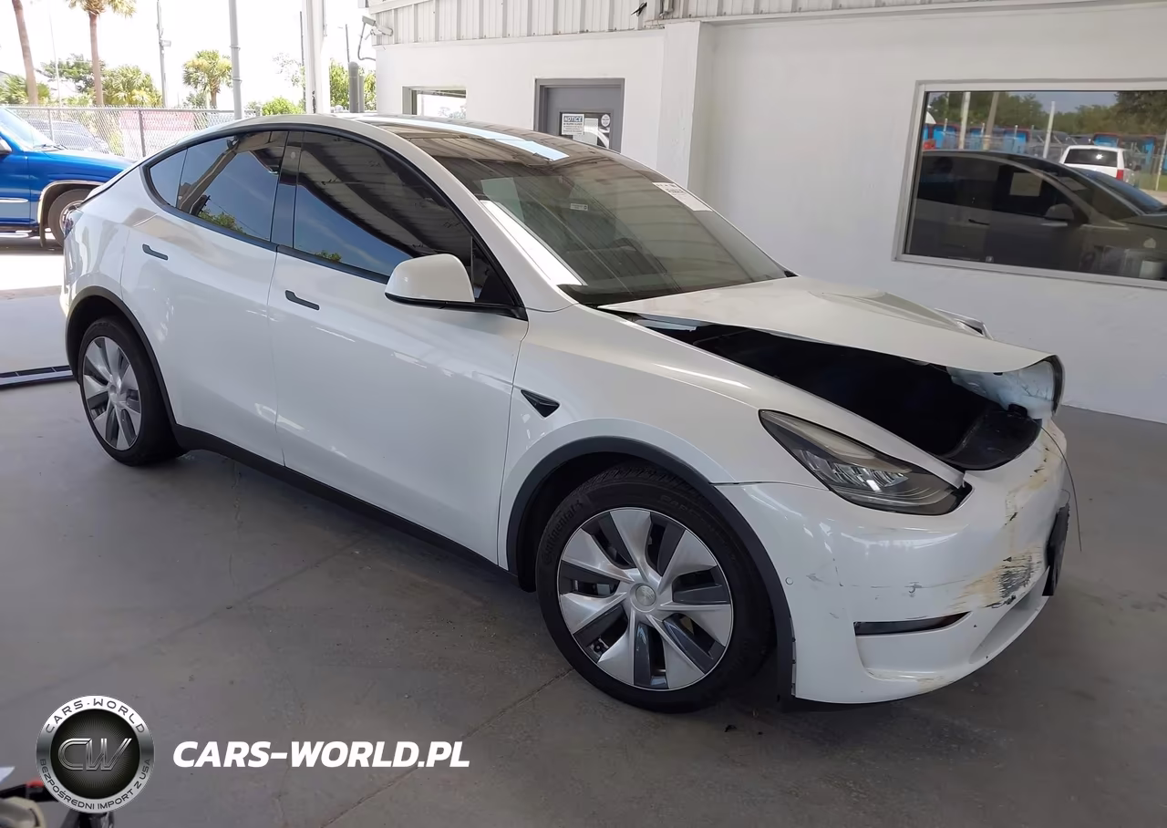 2020 Tesla Model Y Long Range Dual Motor All-Wheel Drive