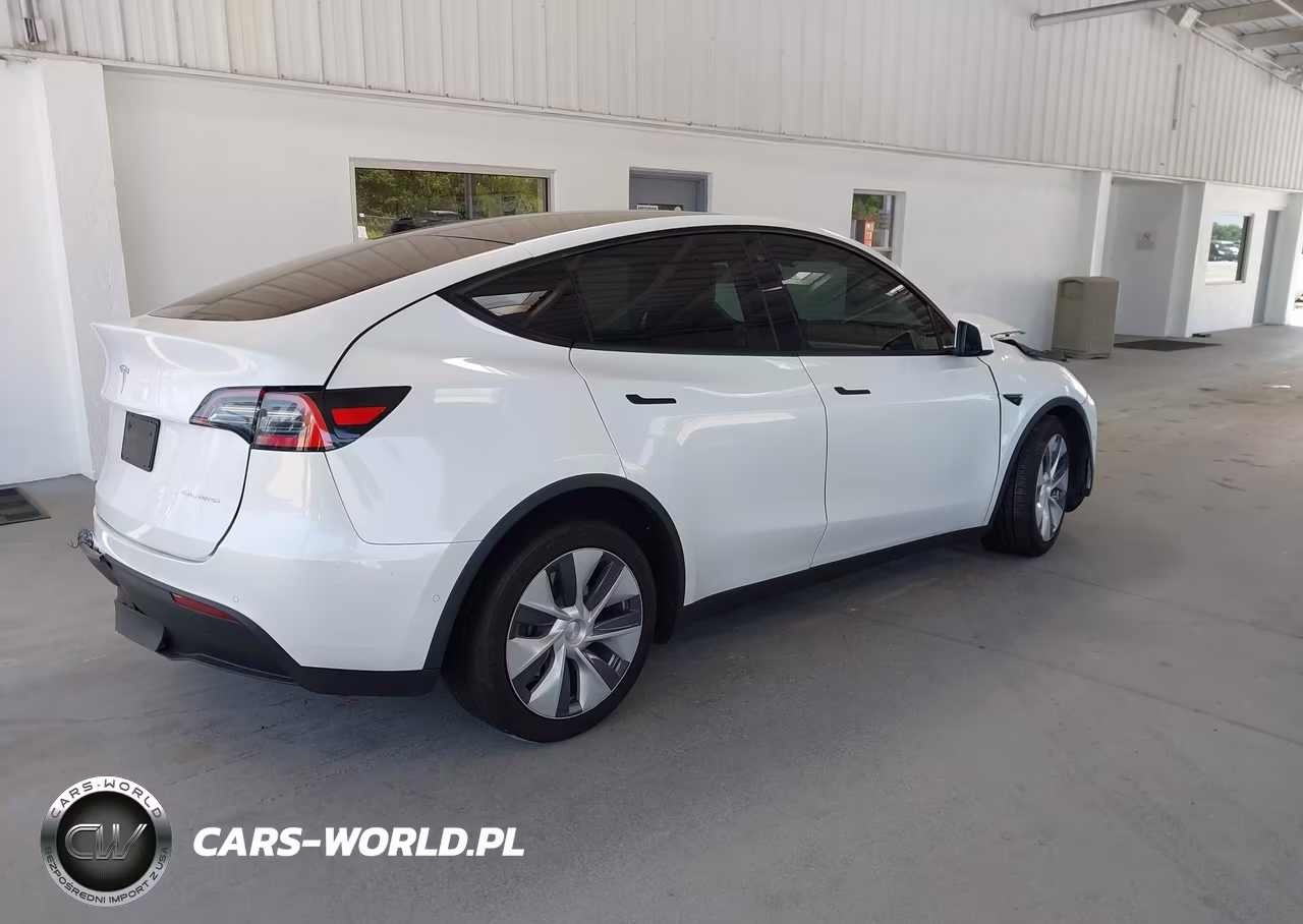 2020 Tesla Model Y Long Range Dual Motor All-Wheel Drive VIN:5YJYGDEE8LF044151 - 4