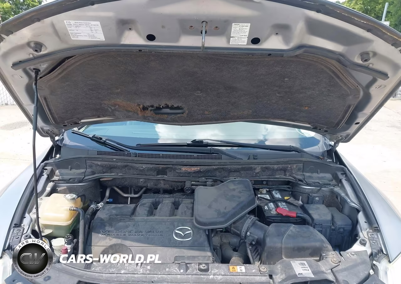 2011 Mazda Cx-9 Touring VIN:JM3TB3CA3B0324003 - 10