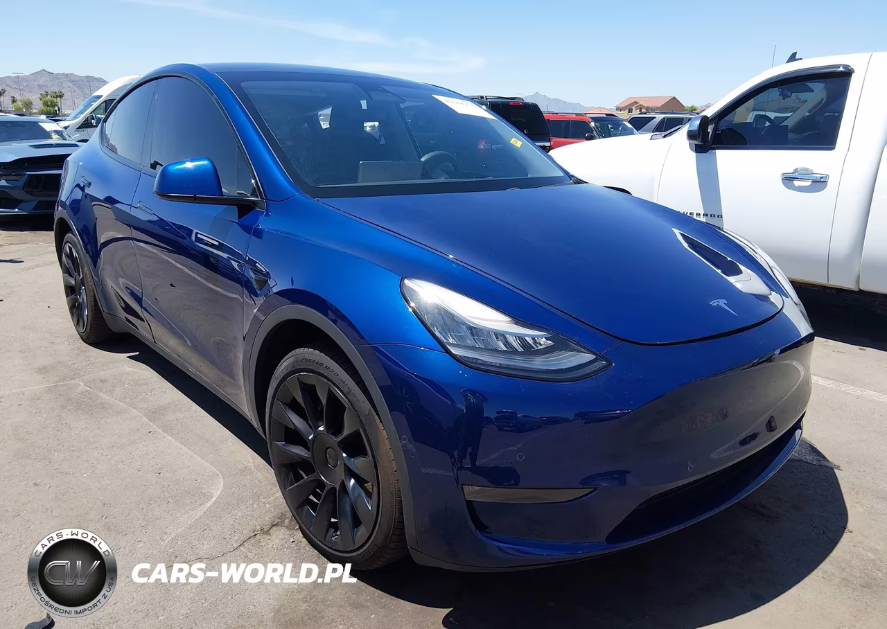 2020 Tesla Model Y Long Range Dual Motor All-Wheel Drive-Performance Dual Motor All-Wheel Drive