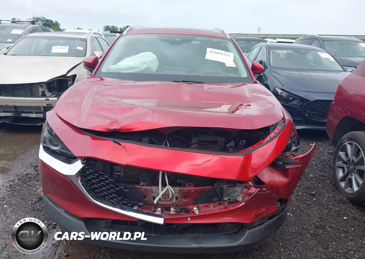 2021 Mazda Cx-30 Premium VIN:3MVDMBDL0MM310558 - 12