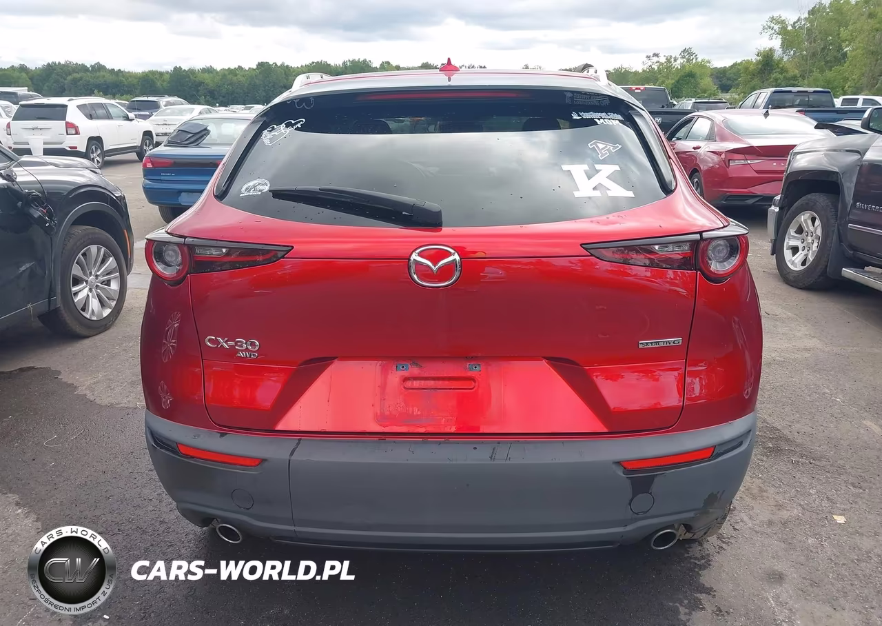 2021 Mazda Cx-30 Premium VIN:3MVDMBDL0MM310558 - 16