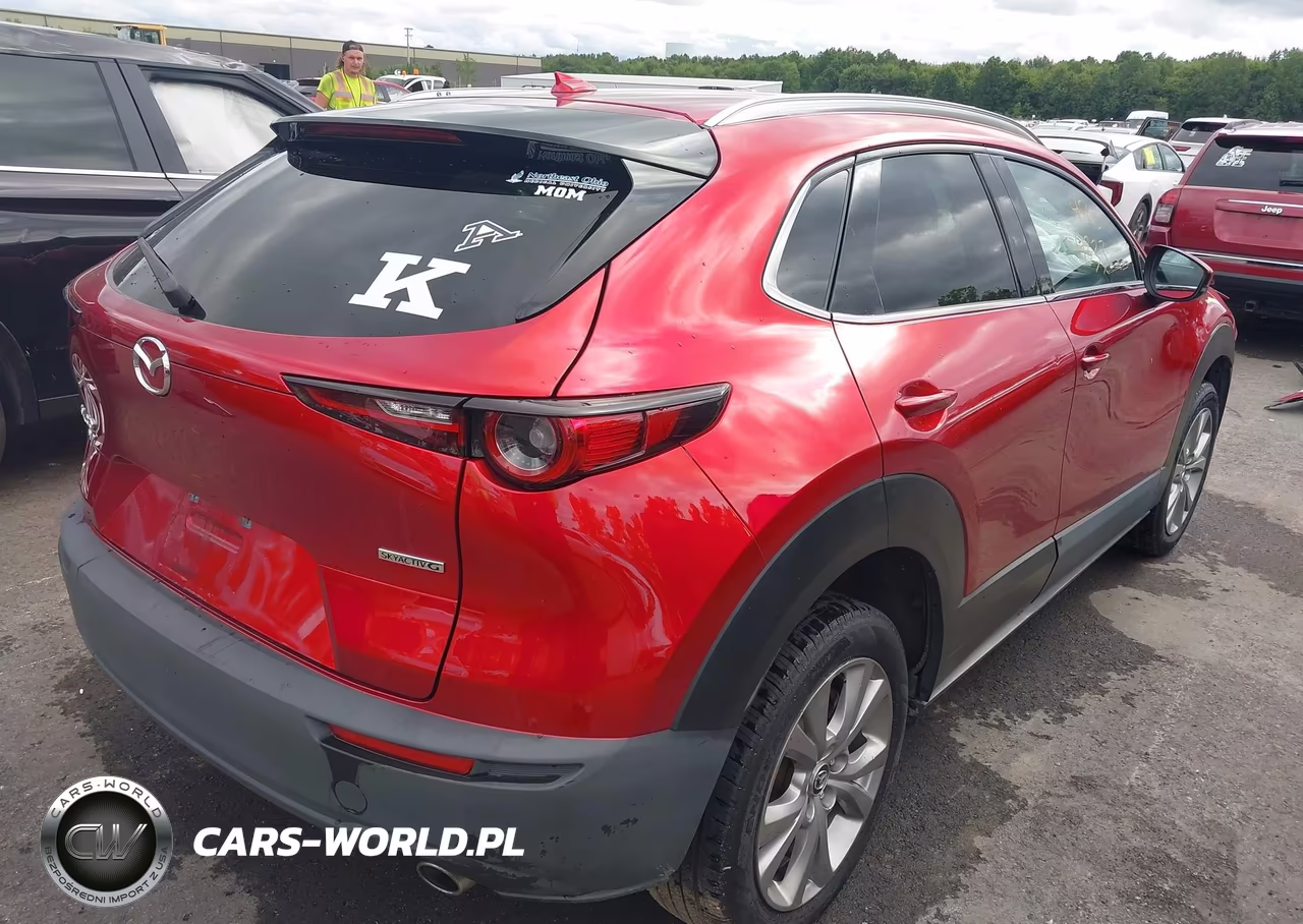 2021 Mazda Cx-30 Premium VIN:3MVDMBDL0MM310558 - 4