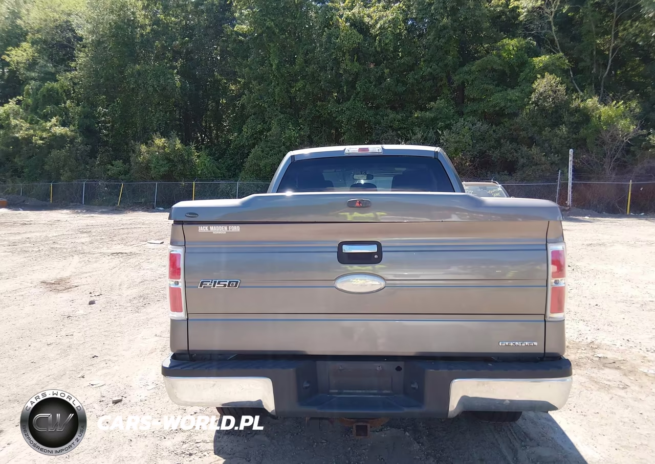 2012 Ford F-150 Xlt VIN:1FTEX1EM2CFA79501 - 16