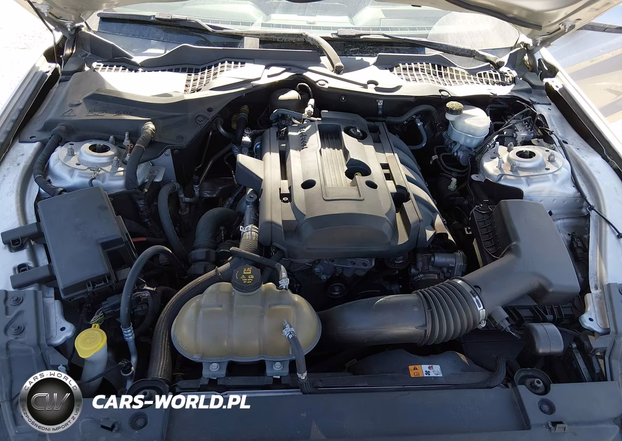 2017 Ford Mustang Ecoboost VIN:1FA6P8TH9H5281998 - 10