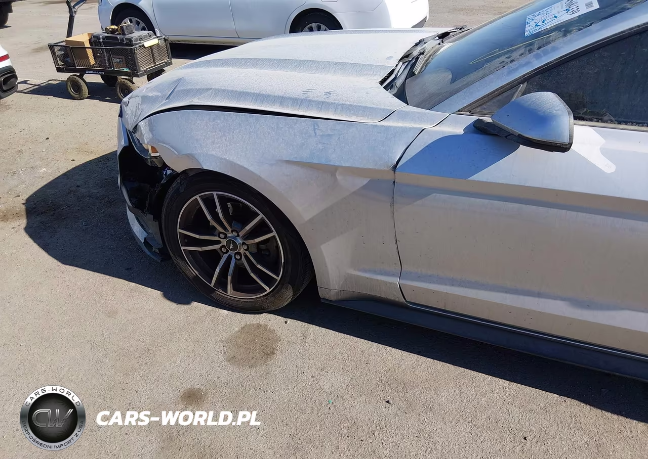 2017 Ford Mustang Ecoboost VIN:1FA6P8TH9H5281998 - 13