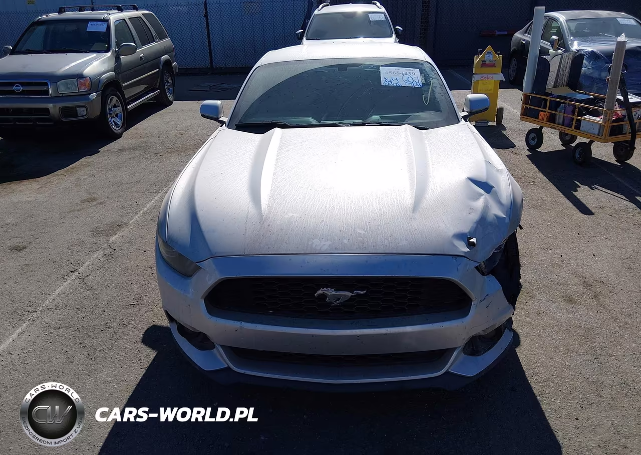 2017 Ford Mustang Ecoboost VIN:1FA6P8TH9H5281998 - 14