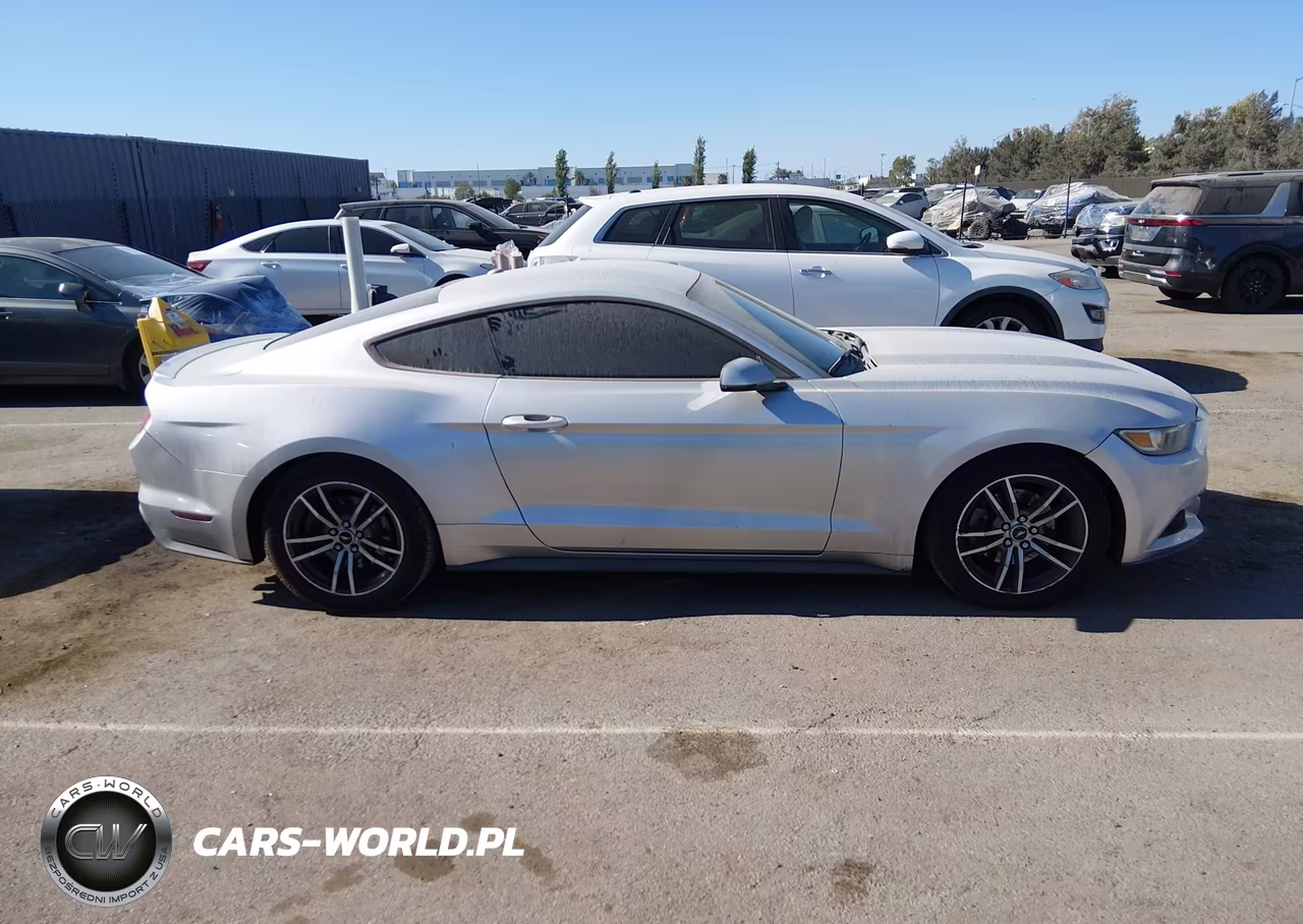2017 Ford Mustang Ecoboost VIN:1FA6P8TH9H5281998 - 15