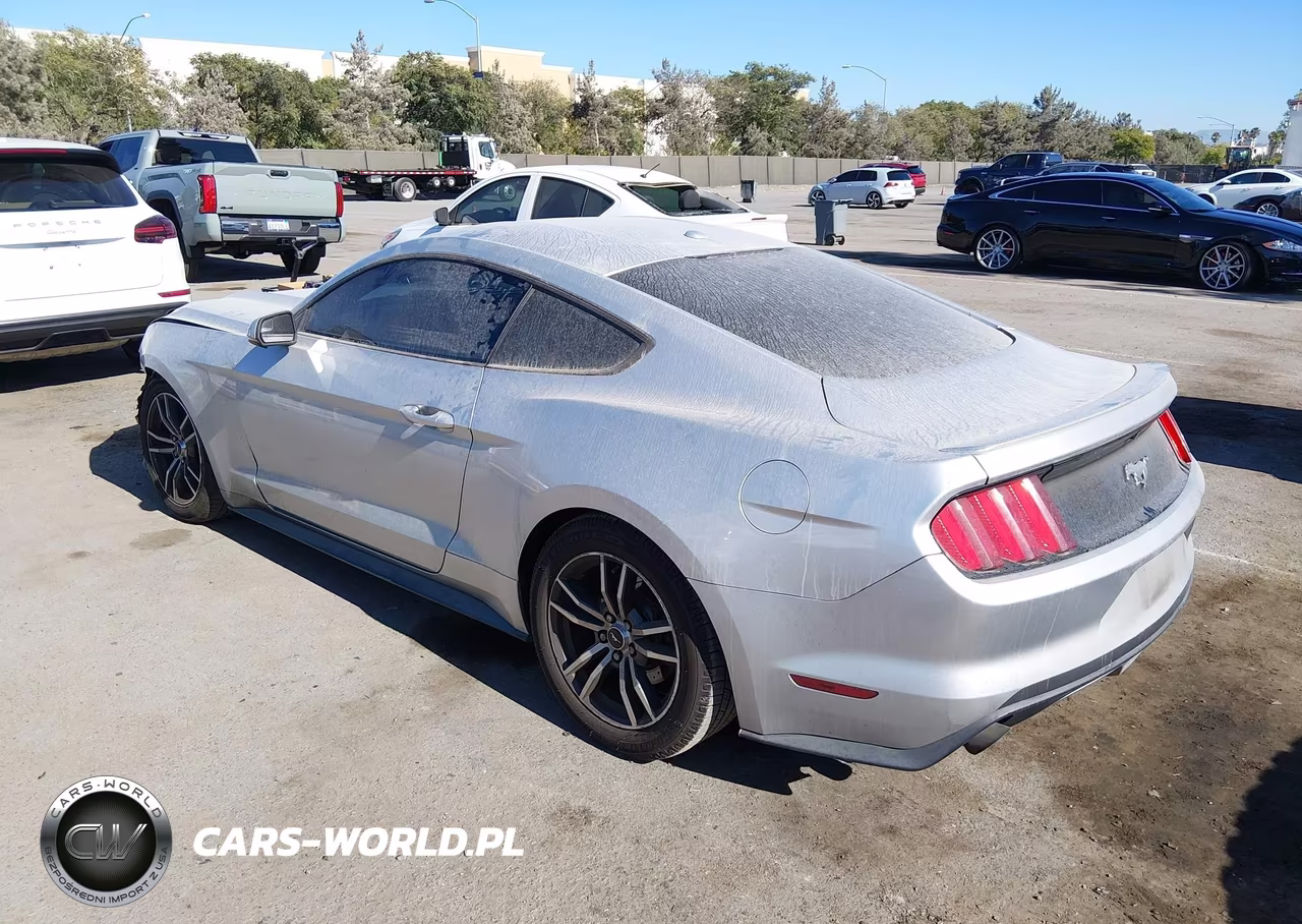 2017 Ford Mustang Ecoboost VIN:1FA6P8TH9H5281998 - 3