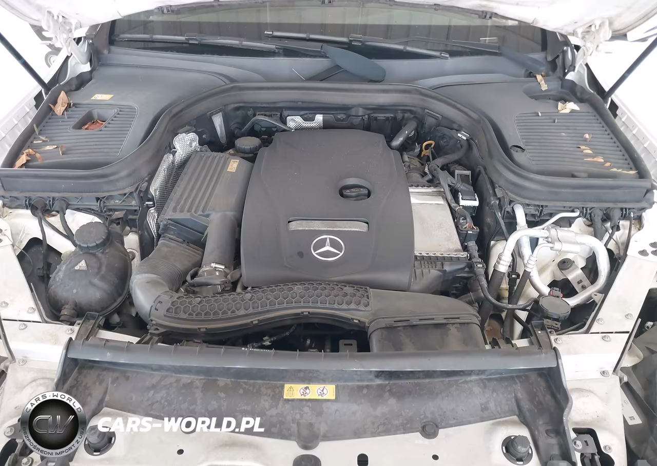 2016 Mercedes-Benz Glc 300 VIN:WDC0G4JB4GF023589 - 10
