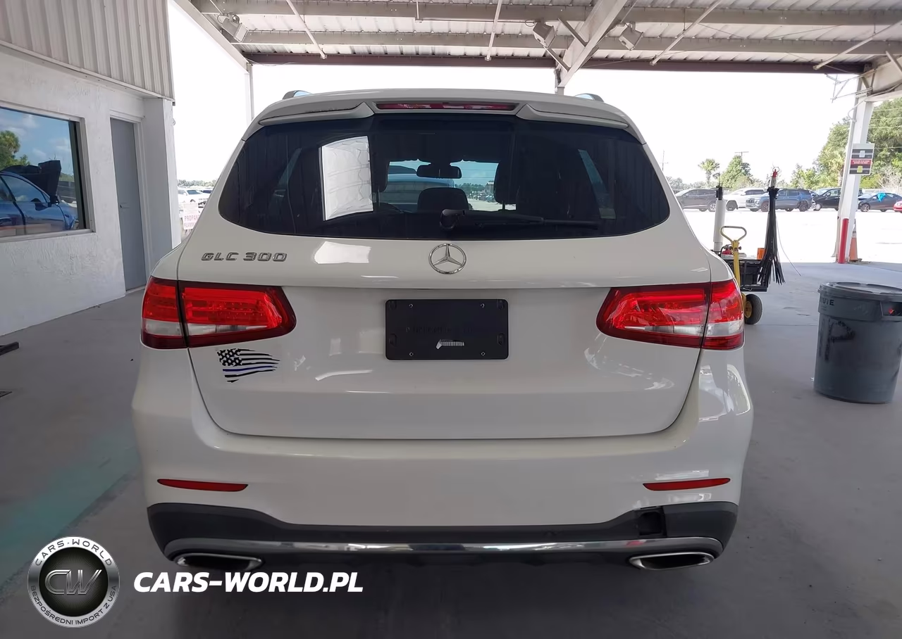 2016 Mercedes-Benz Glc 300 VIN:WDC0G4JB4GF023589 - 16