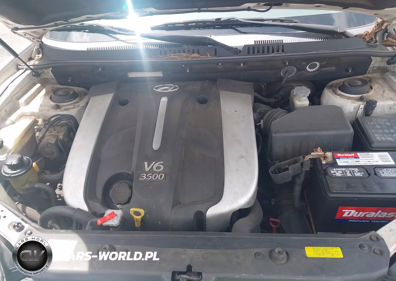 2006 Hyundai Santa Fe Gls-Limited VIN:KM8SC13E06U044994 - 10